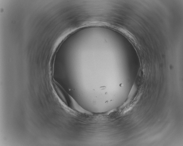 X0000073721430200608241221