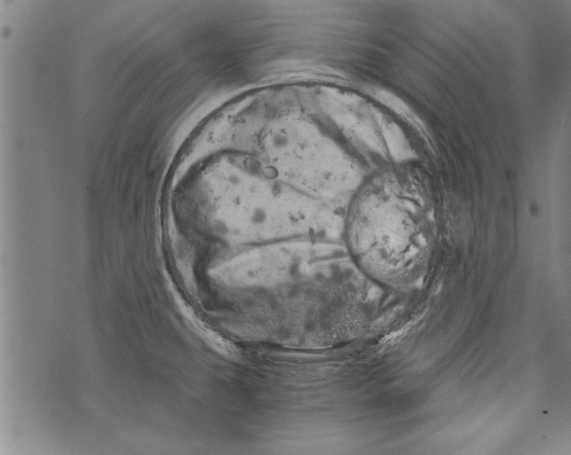 X0000073721431200608241221