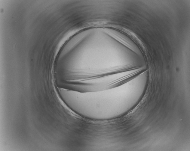 X0000073721432200608241221