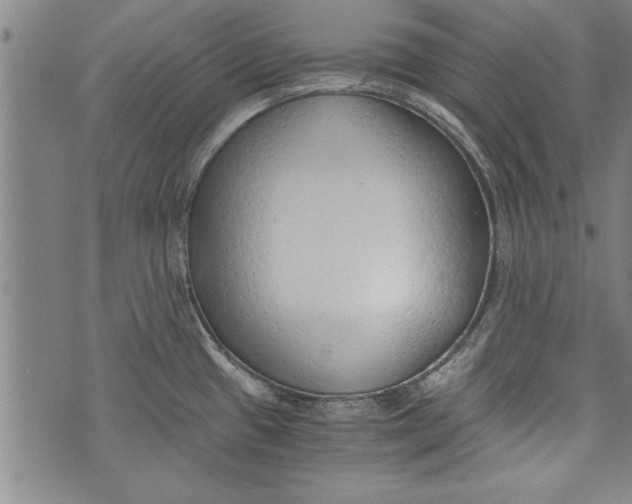 X0000073721433200608241221