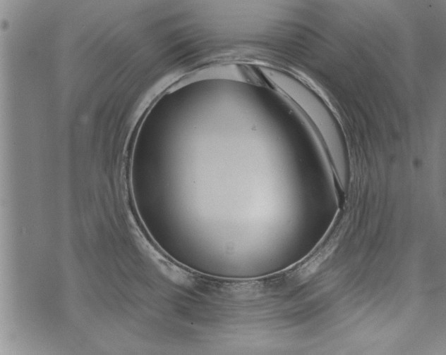 X0000073721434200608241221