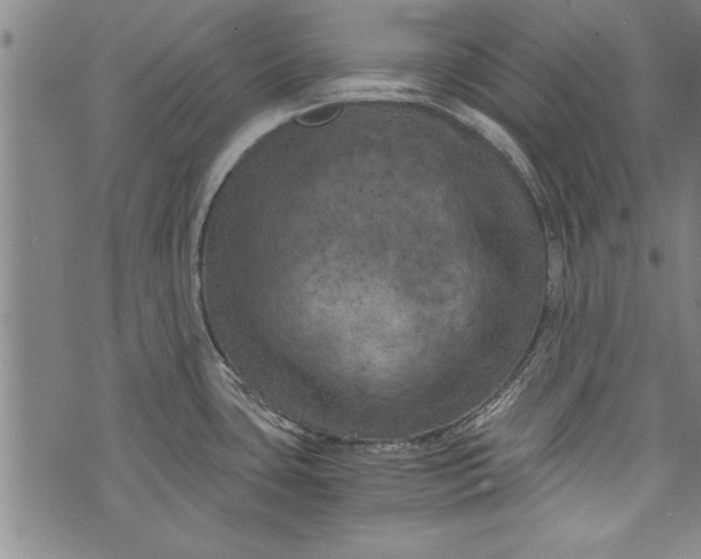 X0000073721435200608241221