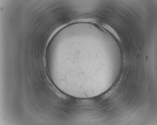 X0000073721436200608241221