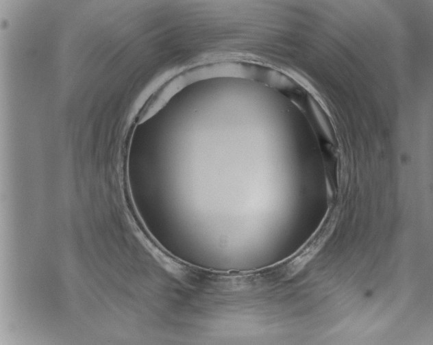 X0000073721438200608241221