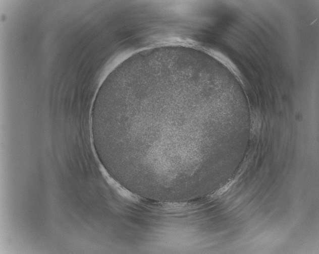 X0000073721439200608241221