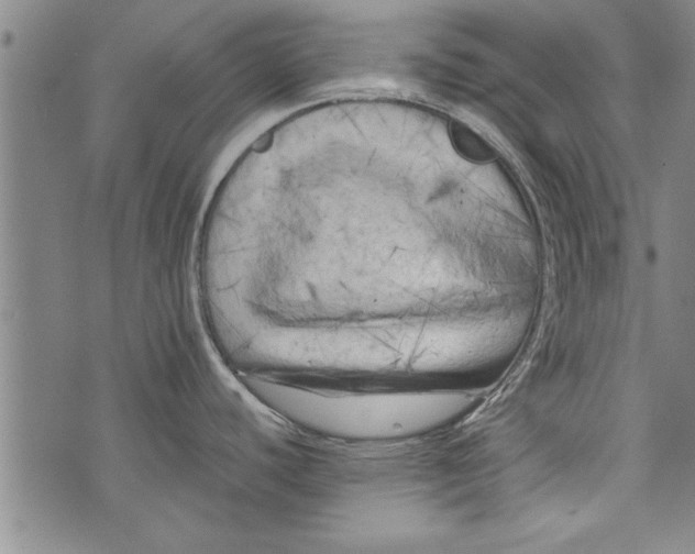 X0000073721440200608241221