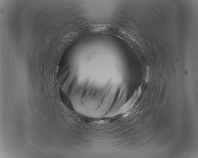 X0000073721441200608241220