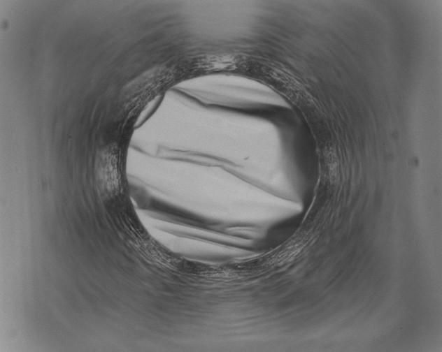 X0000073721442200608241220