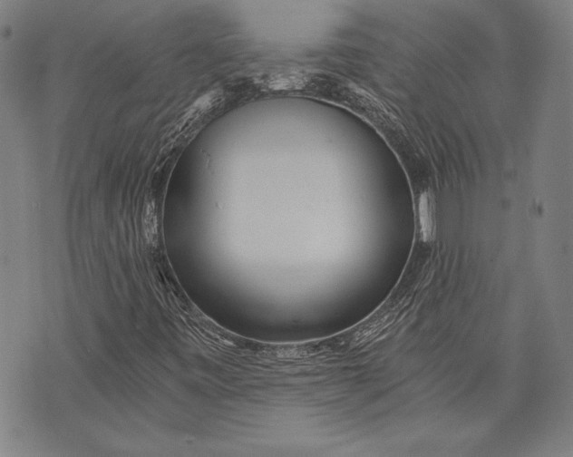 X0000073721443200608241220