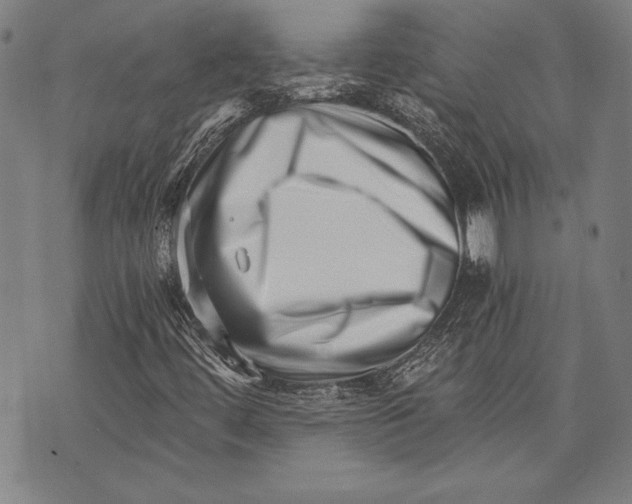 X0000073721444200608241220