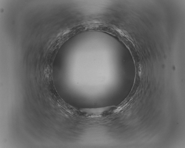 X0000073721445200608241220