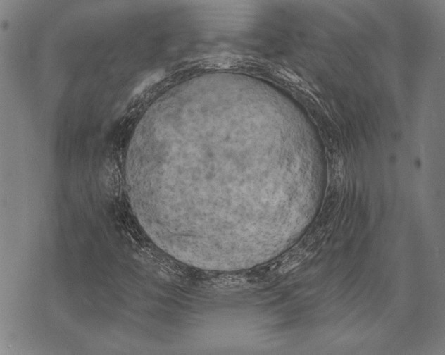 X0000073721446200608241220