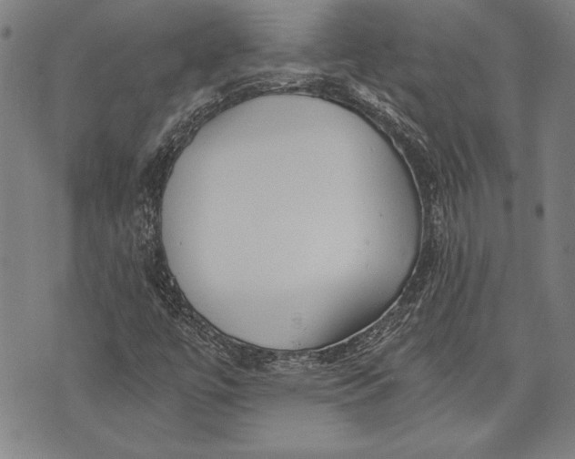 X0000073721447200608241220