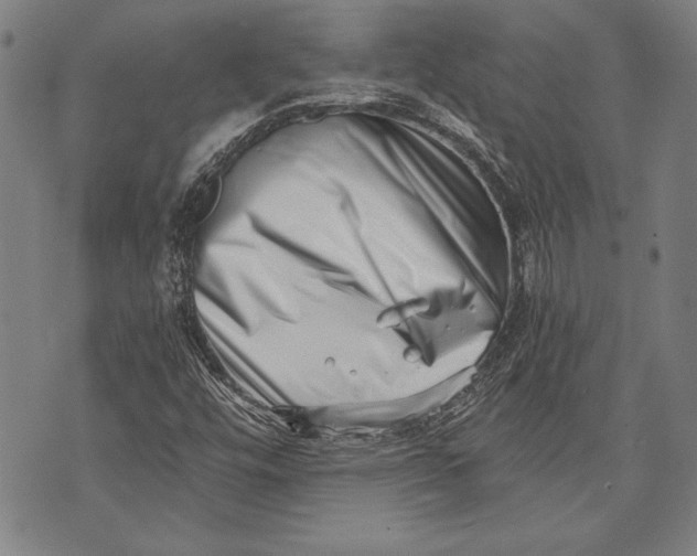 X0000073721448200608241220