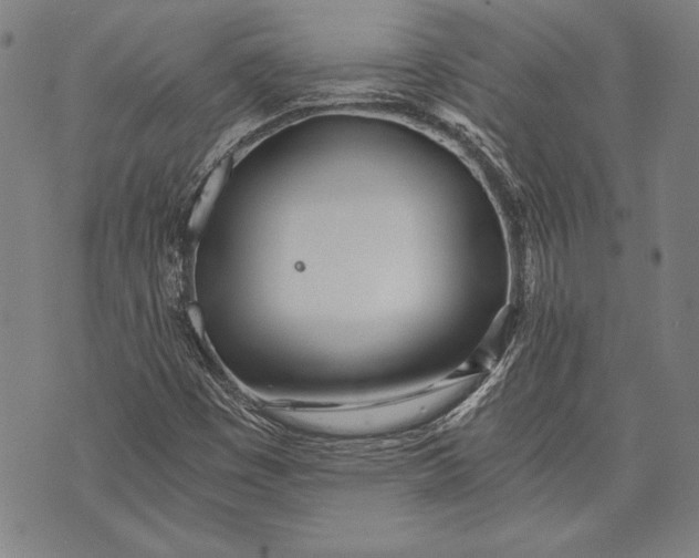 X0000073721449200608241220