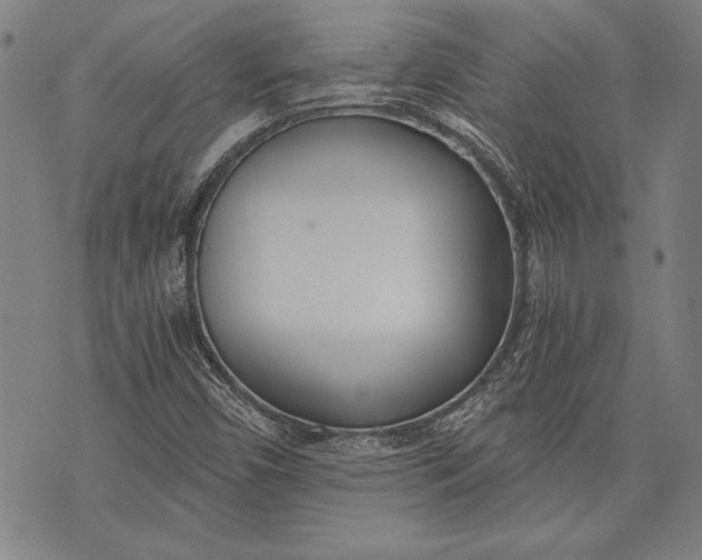 X0000073721450200608241220