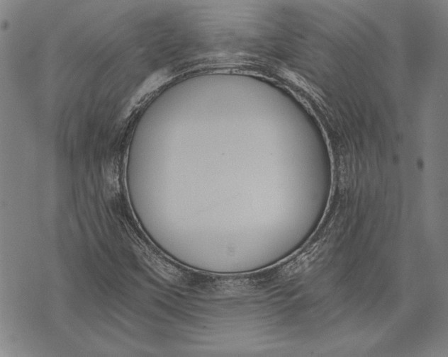 X0000073721451200608241220