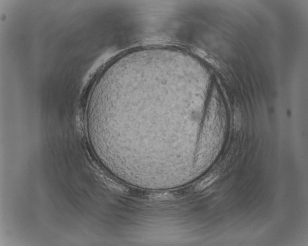 X0000073721454200608241220