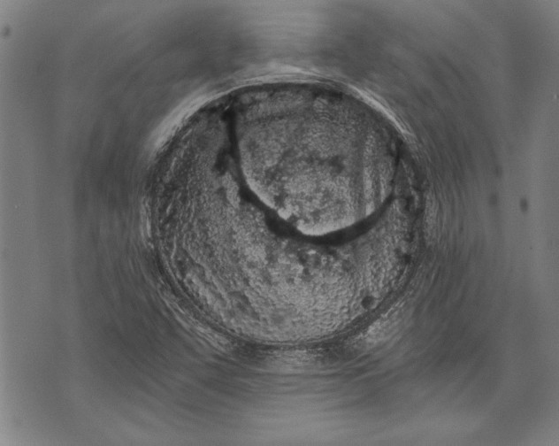 X0000073721455200608241220