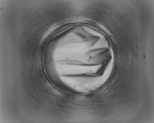 X0000073721456200608241220