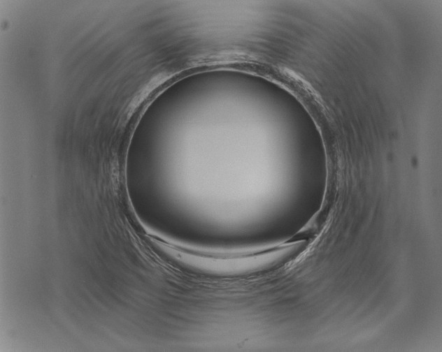 X0000073721457200608241220