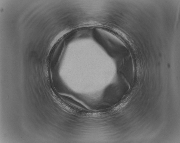 X0000073721458200608241220