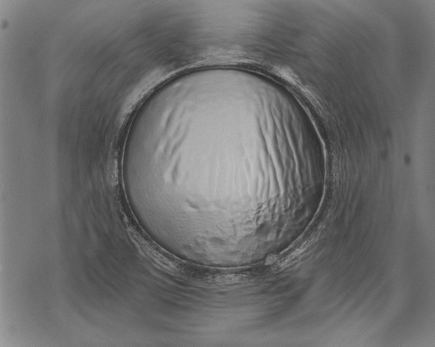 X0000073721459200608241220