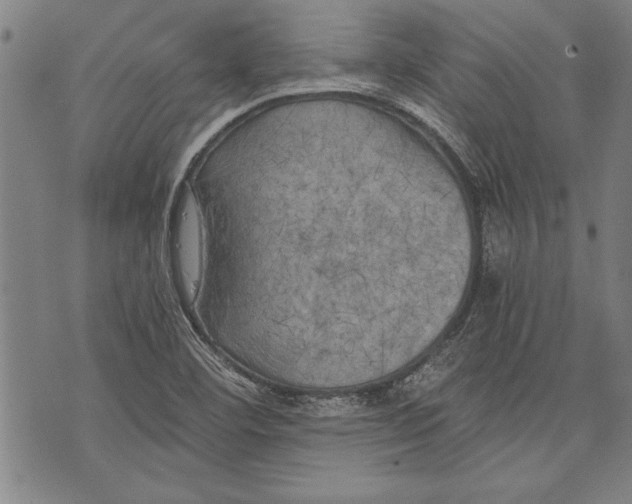 X0000073721460200608241220