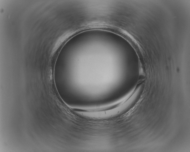 X0000073721461200608241220