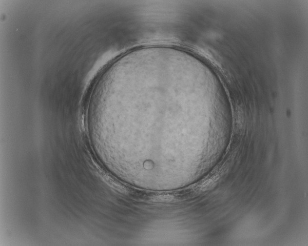 X0000073721462200608241220