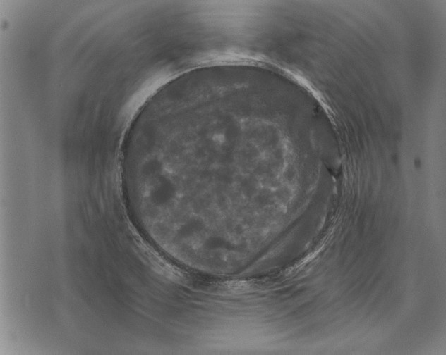 X0000073721463200608241220