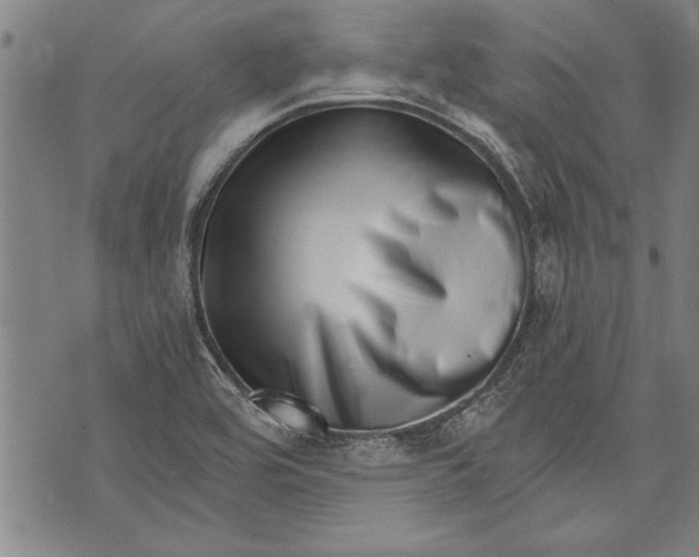 X0000073721464200608241220