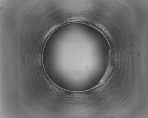 X0000073721465200608241220