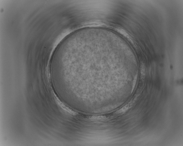 X0000073721466200608241220