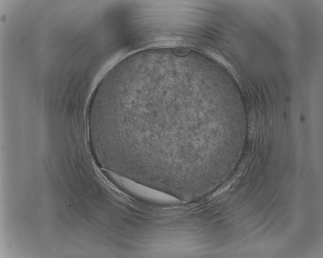 X0000073721467200608241220