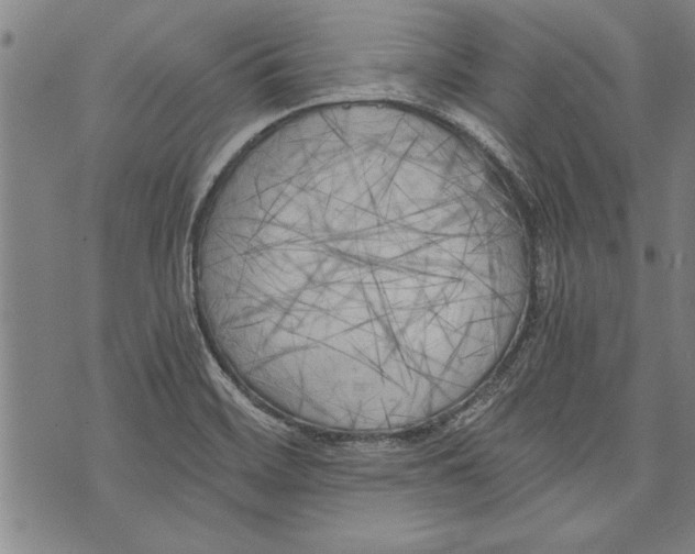 X0000073721468200608241220