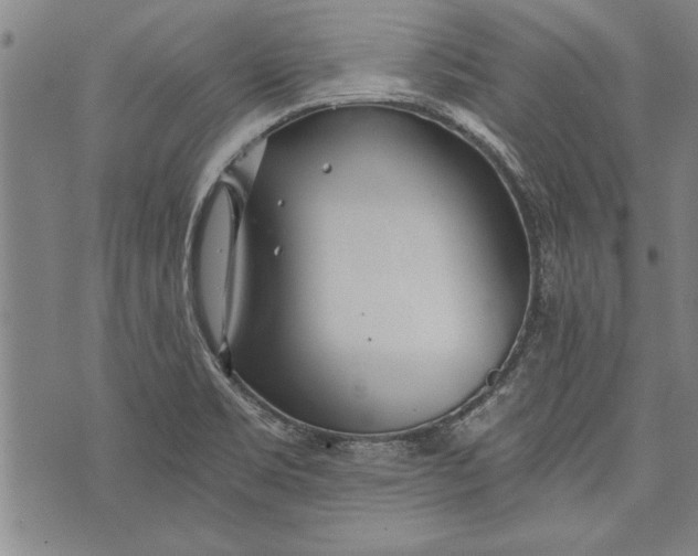 X0000073721469200608241220