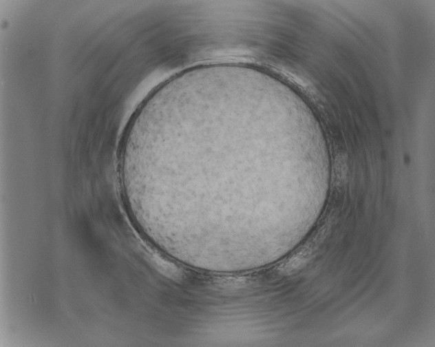 X0000073721470200608241220