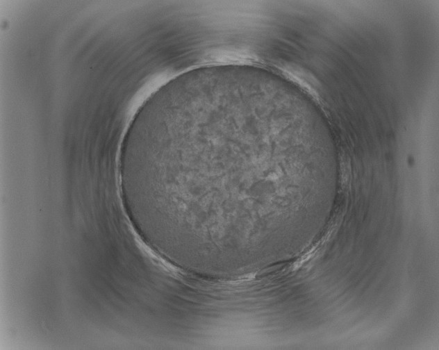 X0000073721471200608241220