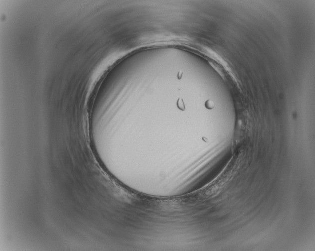 X0000073721472200608241220