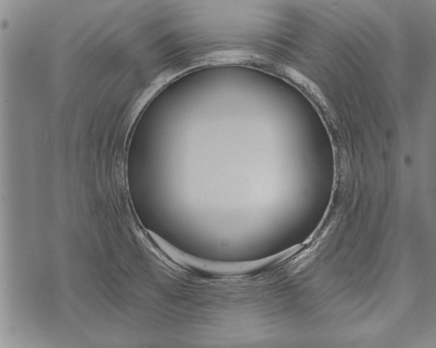 X0000073721473200608241219