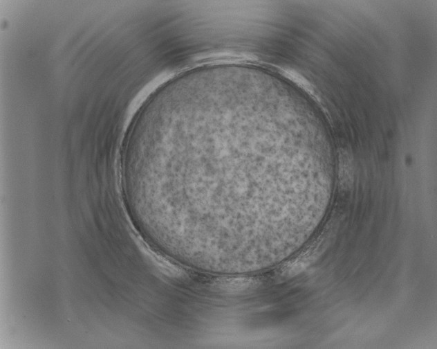 X0000073721474200608241219