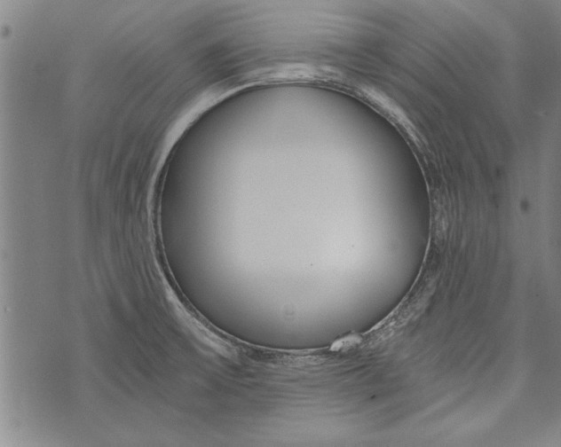 X0000073721475200608241219