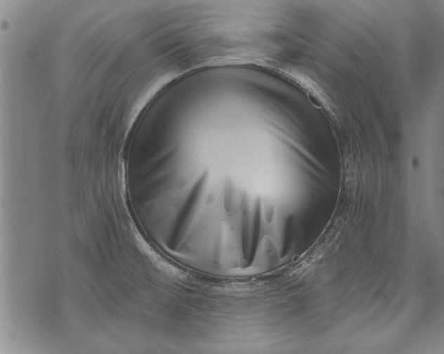 X0000073721476200608241219