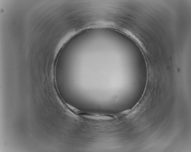 X0000073721477200608241219