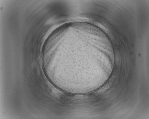 X0000073721478200608241219