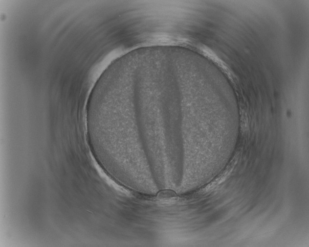 X0000073721479200608241219