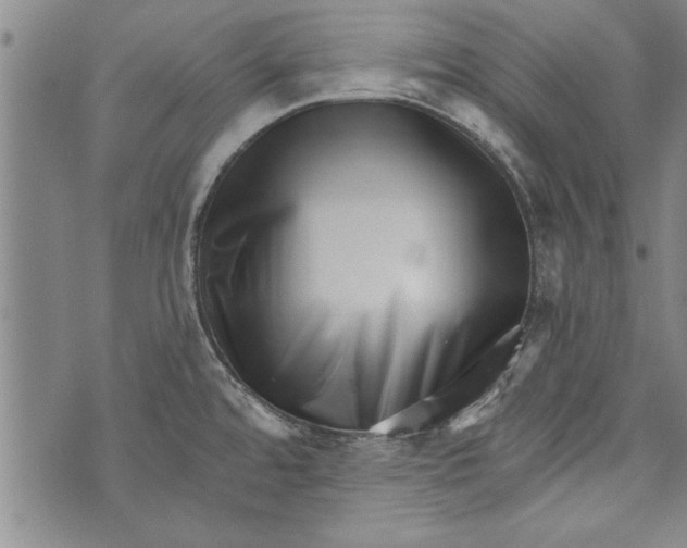 X0000073721480200608241219