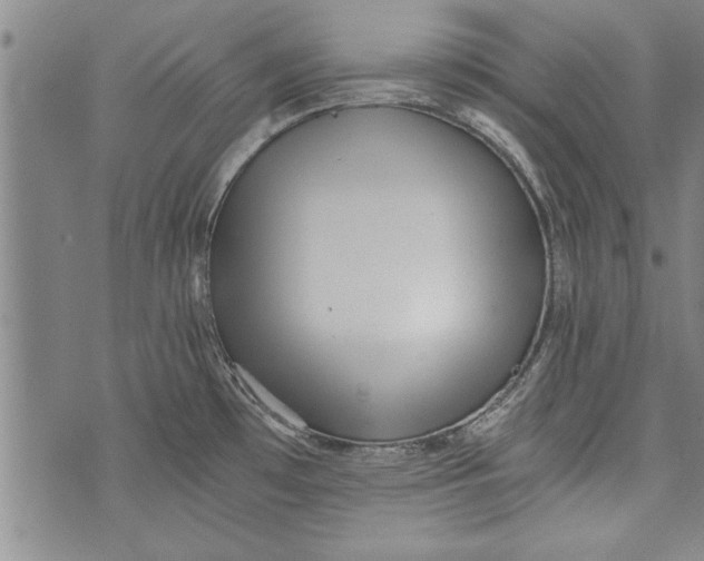 X0000073721481200608241219