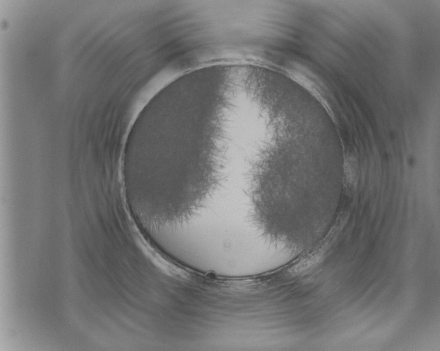 X0000073721482200608241219